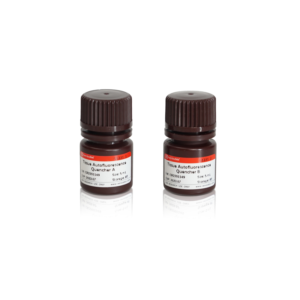 Morphology Staining Solution, Lab Supplies